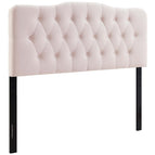 Pink / Performance Velvet