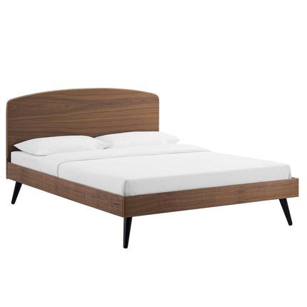 Modway MOD-6254 Bronwen Wood Queen Platform Bed Modway