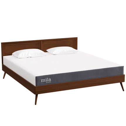 Modway MOD-6259 Mila 8" King Mattress Modway