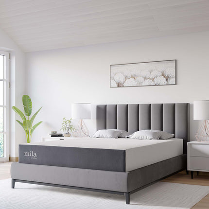 Modway MOD-6262 Mila 10" Queen Mattress Modway