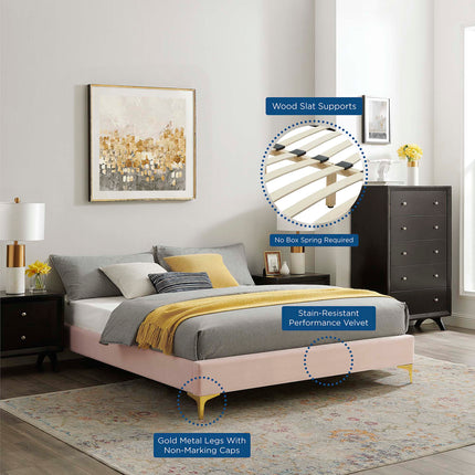 Modway MOD-6275 Sutton Performance Velvet Queen Bed Frame - Plaza Home Decor
