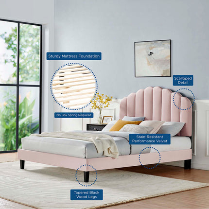 Modway MOD-6287 Daisy Performance Velvet Queen Platform Bed Modway