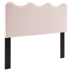 Pink / Performance Velvet