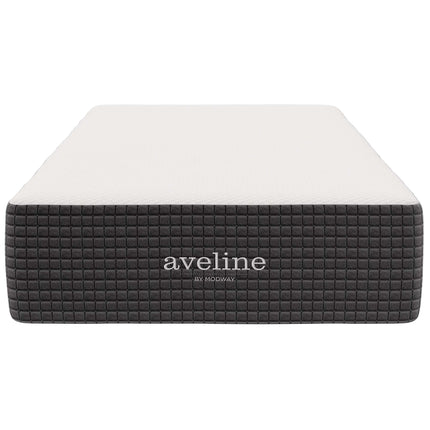 Modway MOD-6598 Aveline 12" Memory Foam Twin Mattress Modway