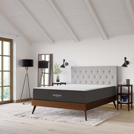 Modway MOD-6600 Aveline 12" Memory Foam Queen Mattress Modway