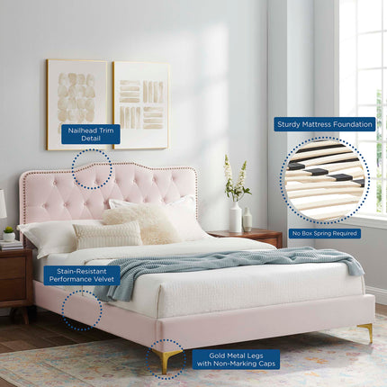 Modway MOD-6781 Amber Full Platform Bed Modway