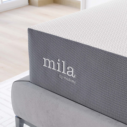 Modway MOD-7106 Mila 12" California King Mattress Modway
