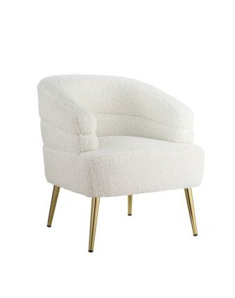 ACME AC00125 Trezona Accent Chair  1