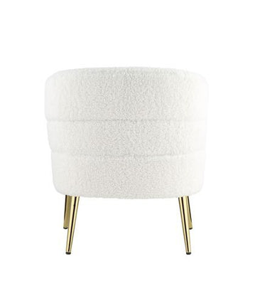ACME AC00125 Trezona Accent Chair  4