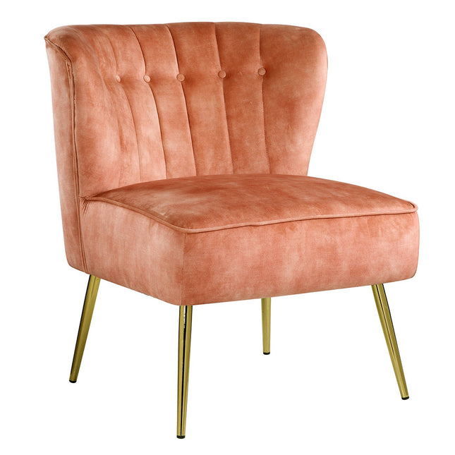 ACME AC00126 Sambell Accent Chair  1