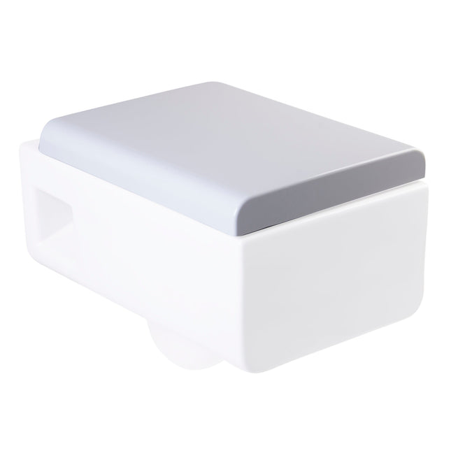 EAGO R-333SEAT Replacement Soft Closing Toilet Seat for WD333 EAGO