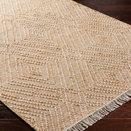 Adalyn AYD-2300 2' x 3' Handmade Rug Livabliss