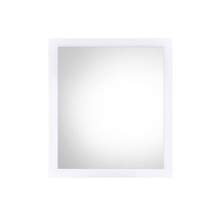 ACME BD00550 Perse Mirror  1