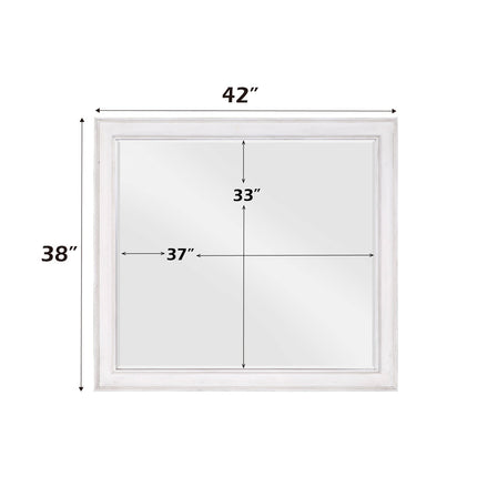 ACME BD00662 Katia Mirror  6