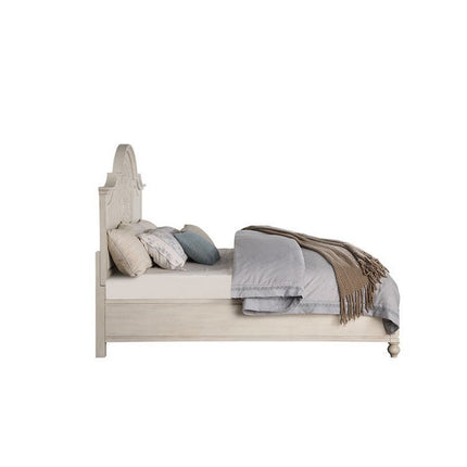 ACME BD00695Q Roselyne Queen Bed