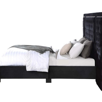 ACME BD00975Q Damazy Black Queen Bed  3