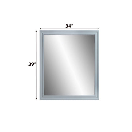 ACME BD01042 Gaines Gray Mirror  3