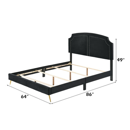 ACME BD01176Q Zeena Queen Bed  5