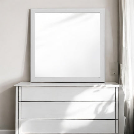 ACME BD01178 Zeena Mirror  4