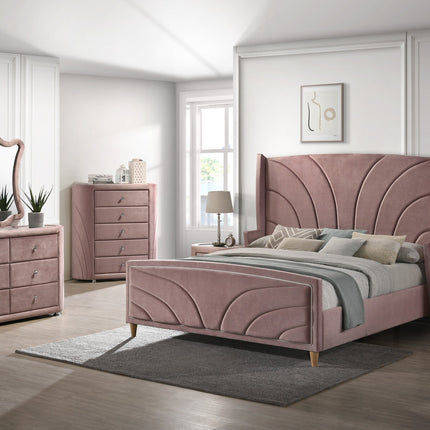 ACME BD01187 Salonia Chest  4