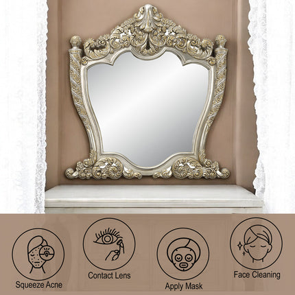 ACME BD01236 Danae Mirror  4