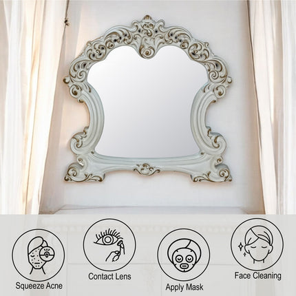 ACME BD01341 Vendom Mirror  4