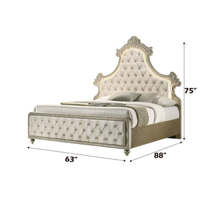 ACME Lucienne Queen Bed - BD02335Q  4