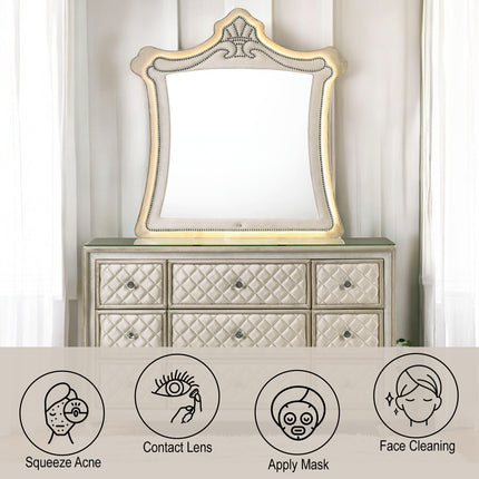 ACME Lucienne Mirror - BD02337  5