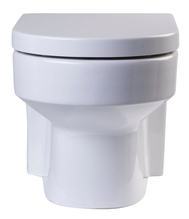 EAGO R-101SEAT Replacement Soft Closing Toilet Seat for WD101 EAGO