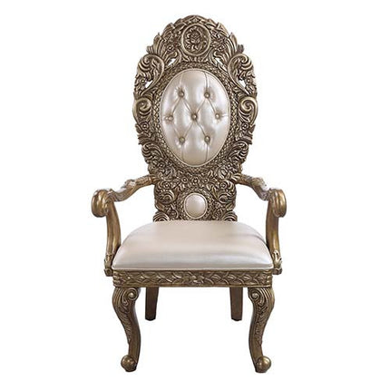 ACME DN00479 Constantine Arm Chair  2