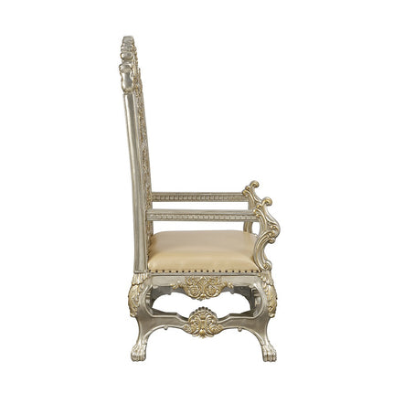 ACME DN01199 Danae Arm Chair  3