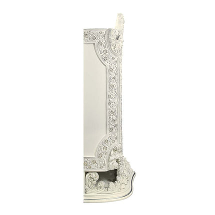 ACME DN01232 Adara Curio  2
