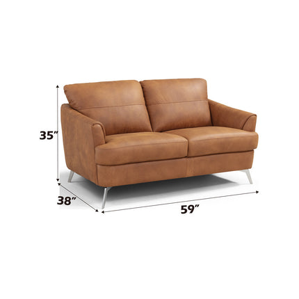 ACME LV00217 Safi Loveseat  4