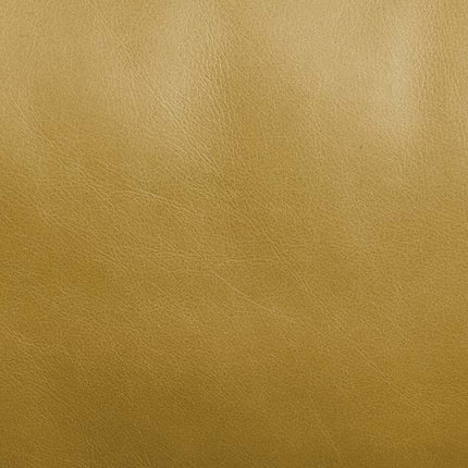 ACME LV01022 Radia Sofa  5