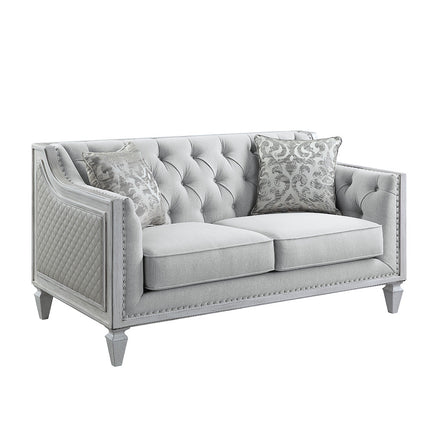 ACME LV01050 Katia Loveseat with 2 Pillows  1