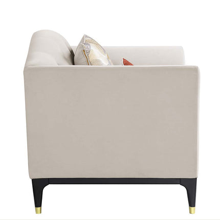 ACME LV01157 Tayden Chair with 2 Pillows  2