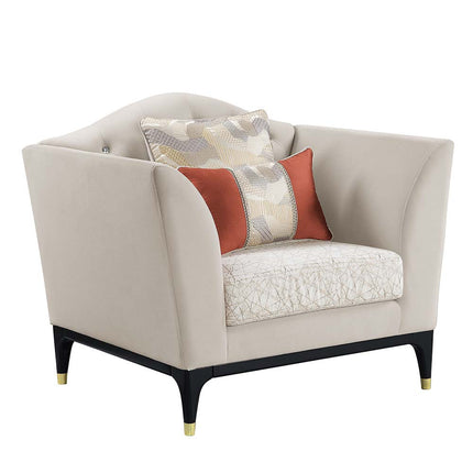 ACME LV01157 Tayden Chair with 2 Pillows