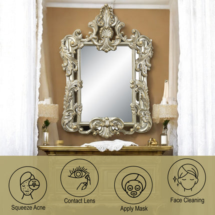 ACME LV01215 Sorina Mirror  4
