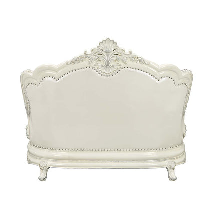 ACME LV01225 Adara Loveseat with 5 Pillows  2