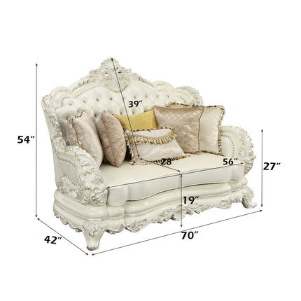 ACME LV01225 Adara Loveseat with 5 Pillows  4