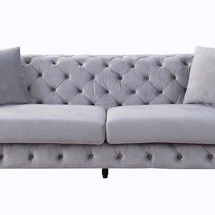 ACME LV01406 Jelanea Sofa with 2 Pillows  1