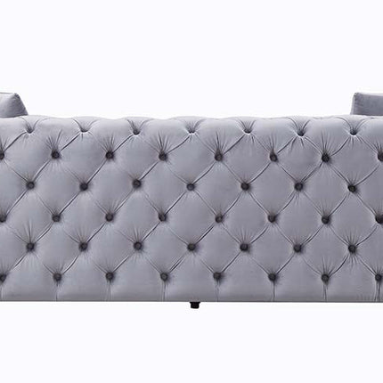 ACME LV01406 Jelanea Sofa with 2 Pillows  3