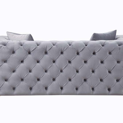 ACME LV01407 Jelanea Loveseat with 2 Pillows  3