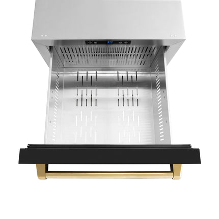 ZLINE Autograph Edition 24 in. Touchstone 168 Can Outdoor-Rated Dual Refrigerator Drawer with Black Matte Doors and Polished Gold Handles (RDSOZ-BLM-24-G)