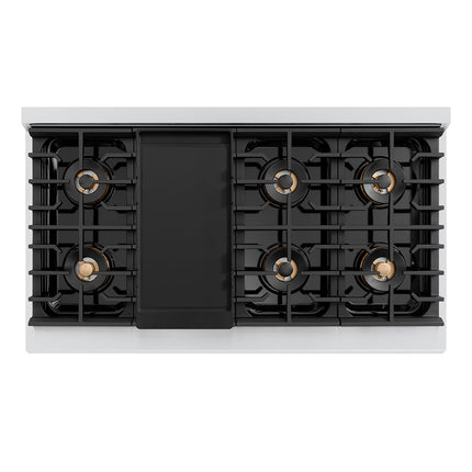 ZLINE 48 in. Paramount Gas Rangetop with 8 Burner DuoPro™ Cooktop in Stainless Steel (PSRT48)