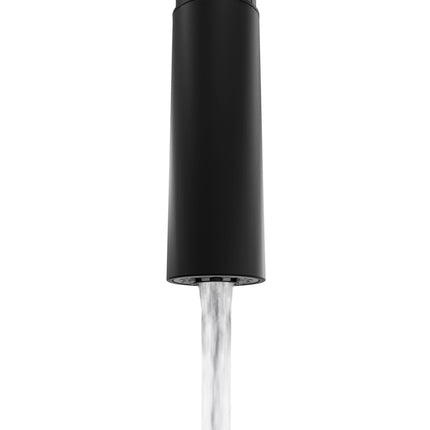 ZLINE Palisades Pull Down Single Handle Kitchen Faucet in Matte Black (RBCN1-KF-MB)