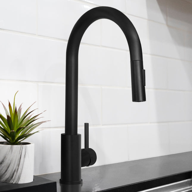 ZLINE Palisades Pull Down Single Handle Kitchen Faucet in Matte Black (RBCN1-KF-MB)
