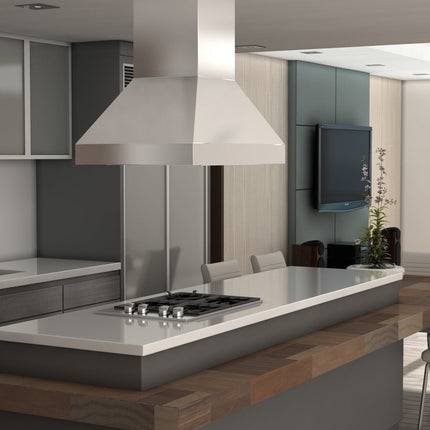 ZLINE Ducted Island Mount Range Hood in Outdoor Approved Stainless Steel (597i-304)