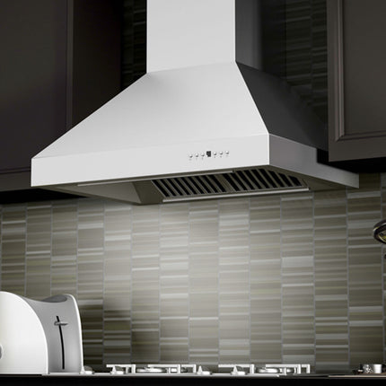ZLINE 36 in. Professional Ducted Wall Mount Range Hood in Stainless Steel (667-36)
